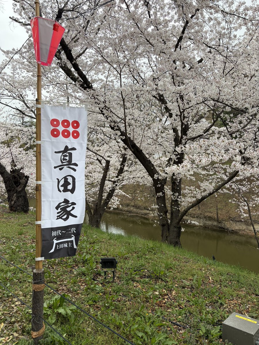 しろくろ tweet media