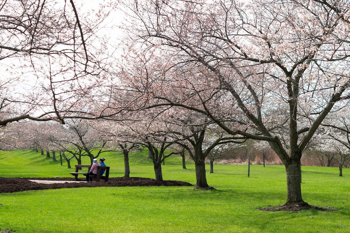 Cleveland Metroparks tweet media