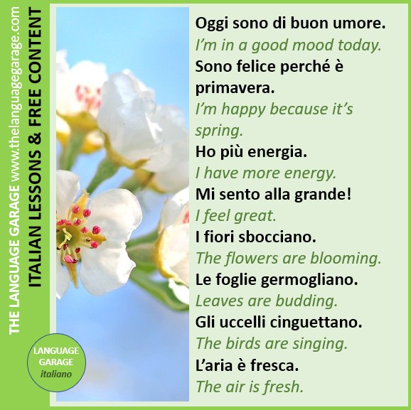 Language Garage Italian / Italiano tweet media