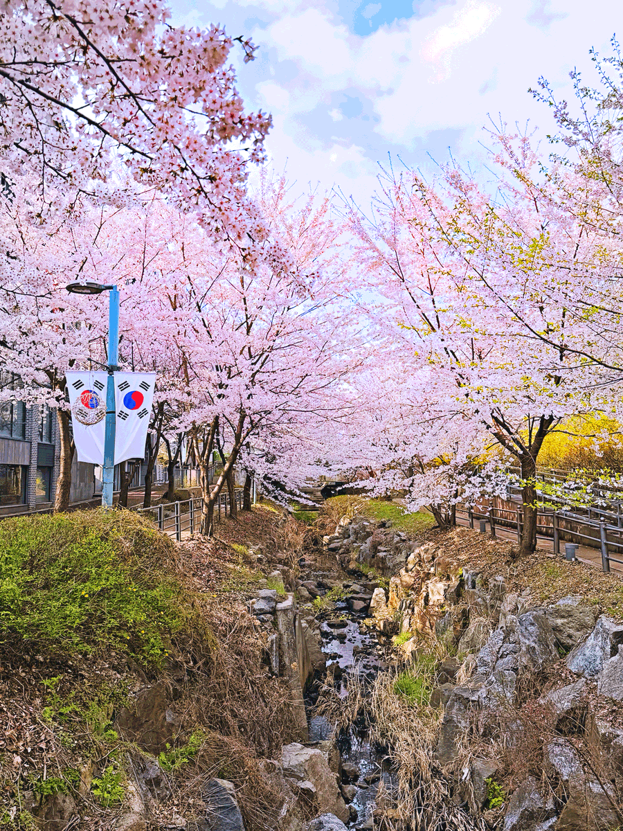 TAN🦅🔜Furst Class tweet media