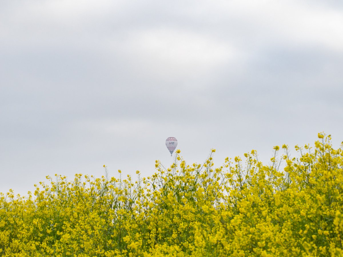 菜の花の先に

#OMSYSTEM