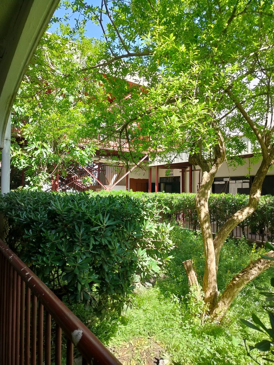 noor🌷 tweet media