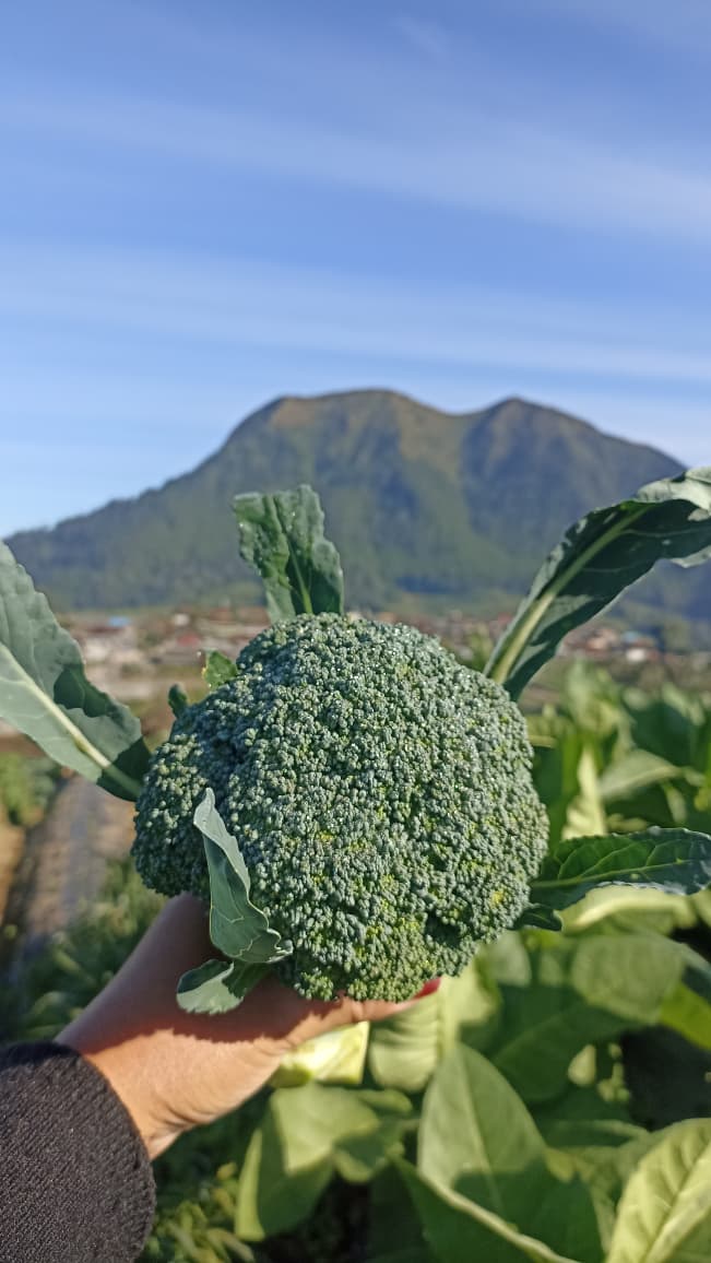 AbU JenaR tweet media