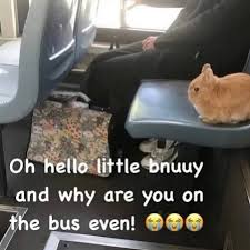 sfawtde spoilers haha sorry // bagol 🍉🐛 (🚦🚦🚦) tweet media