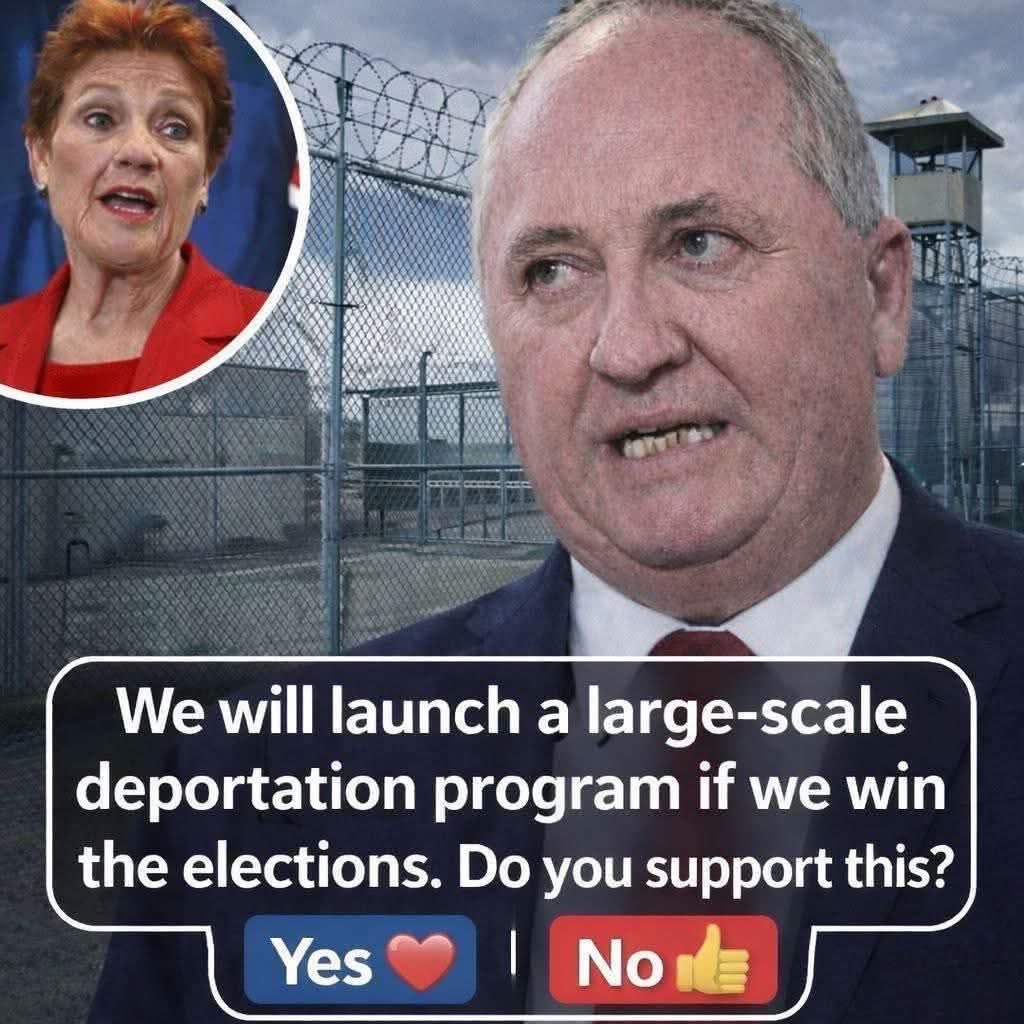 Jill Marinelli tweet media