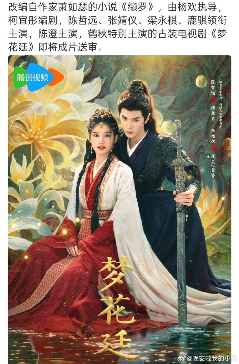 Apricity Chen Zheyuan tweet media