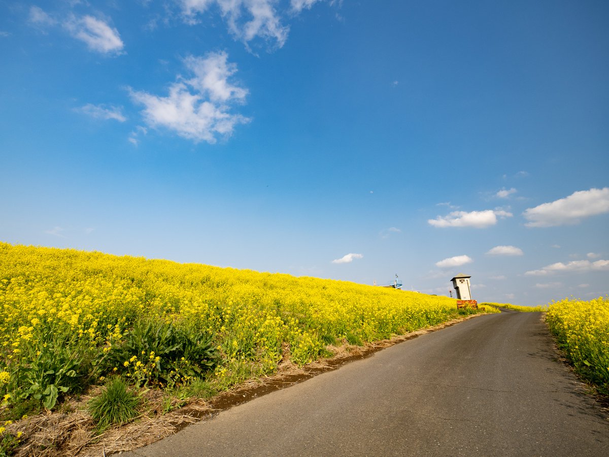 春の道

#OMSYSTEM