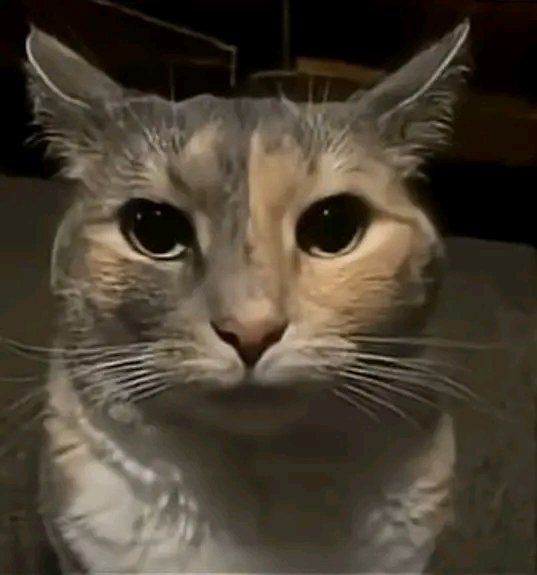 中川 竜司 tweet media