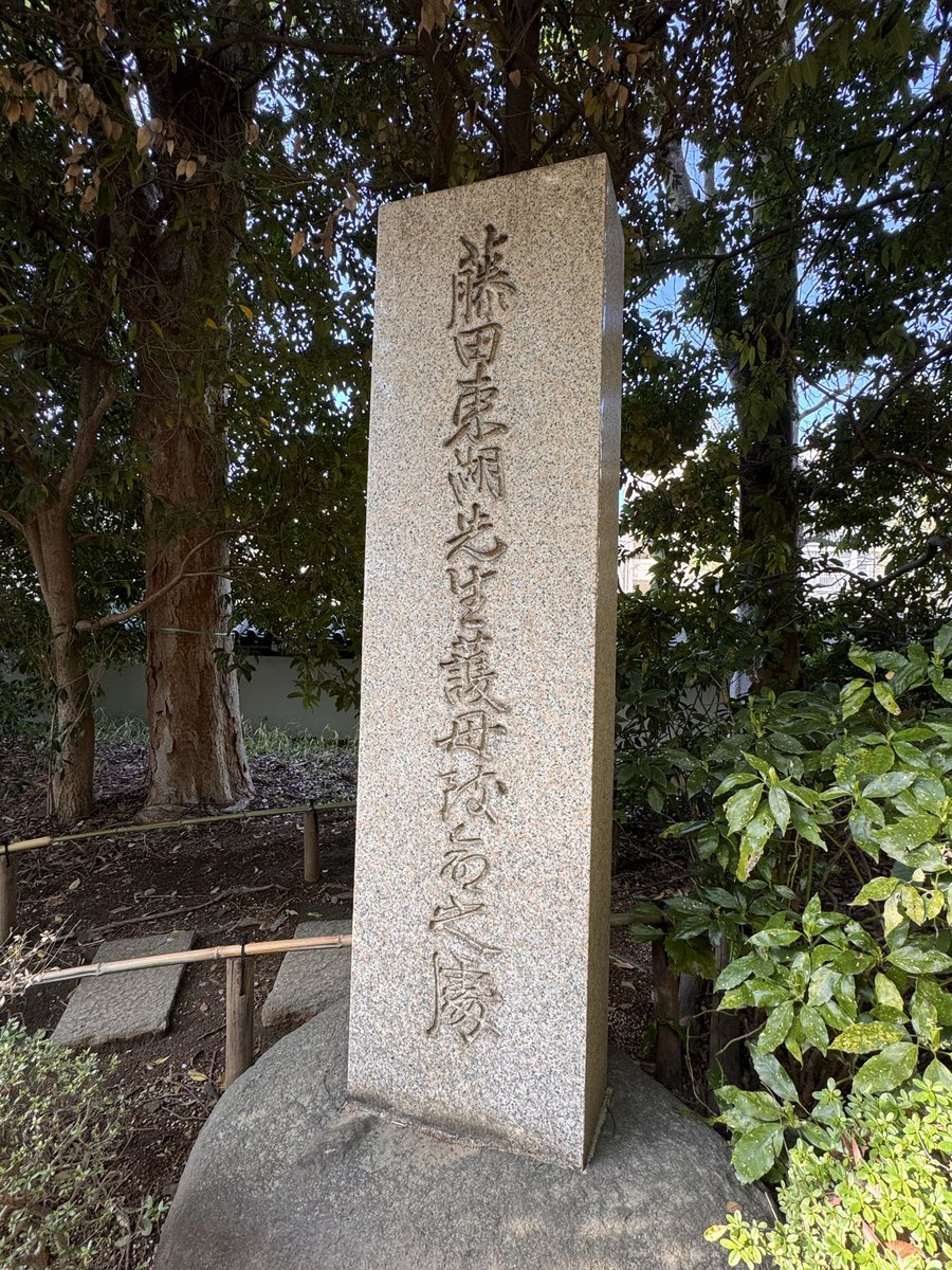 noblow_monkey's tweet photo. そして週末たまたま子どもと桜を見に出かけた小石川後楽園で「藤田東湖護母致命の処」の石碑と、入り口で徳川家・家紋である三つ葉葵の「葵」が自生しているのを発見🌱
コーフンする父に興味を持った娘に明治維新の顛末を話すと、小学三年生にして「尊王攘夷」のワードを覚えてくれた👧🏻
#藤田東湖 https://t.co/nbP63cs0ey