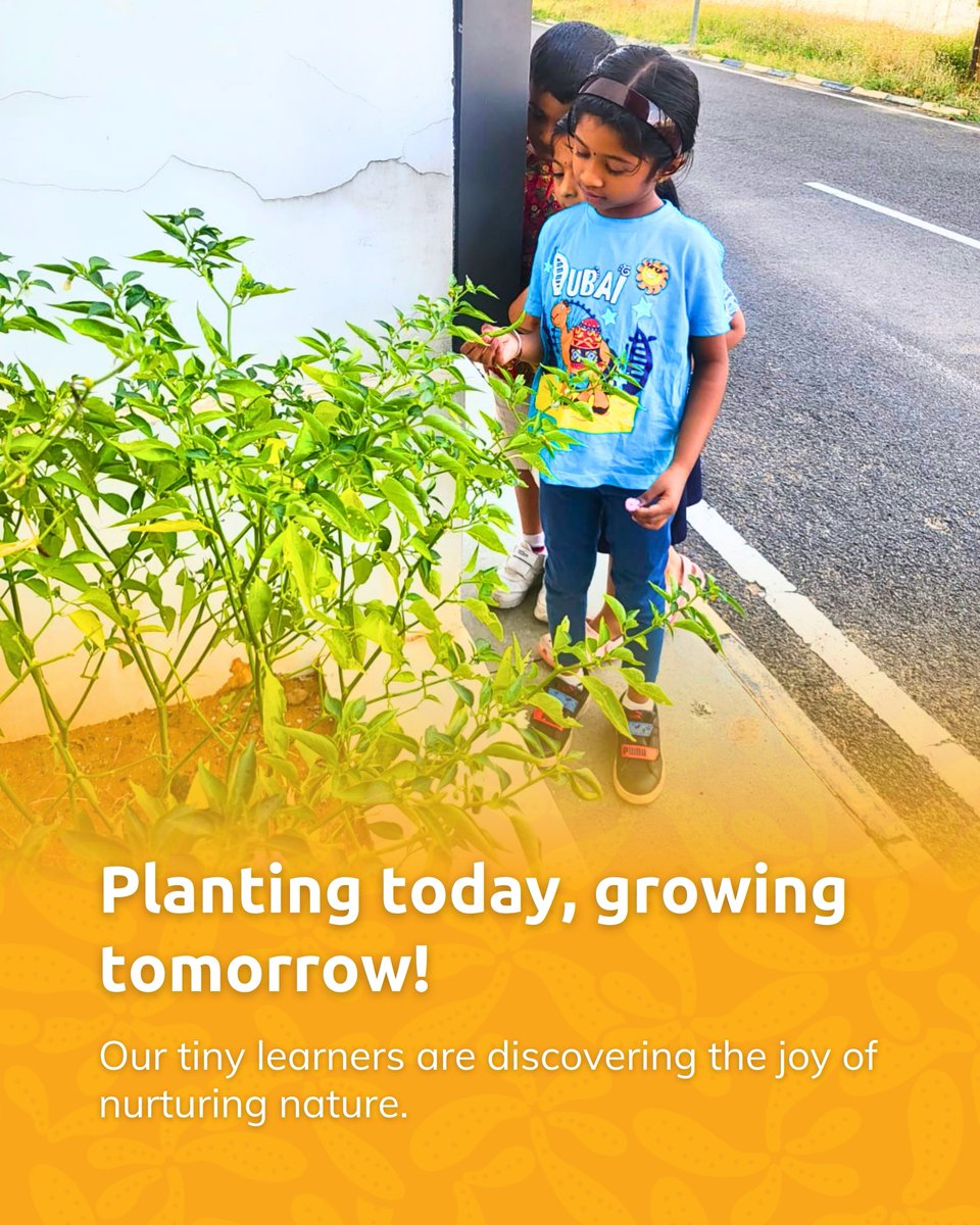 Anand Singapore International School tweet media