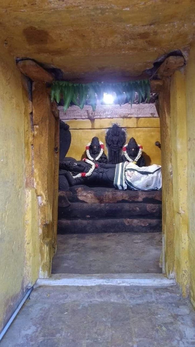 Rooted Soul tweet media