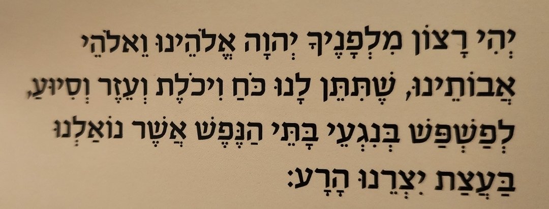 רפי מוֹזס رَافِي مُوزِس 𐤓𐤐𐤉 𐤌𐤅𐤆𐤎 Rafi Moses tweet media