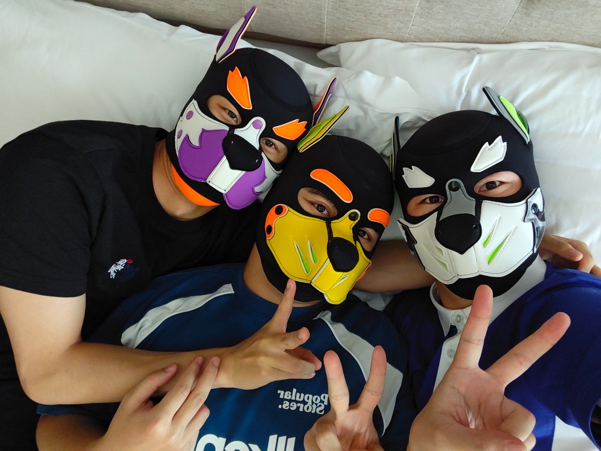 枸杞Wolfberry tweet media