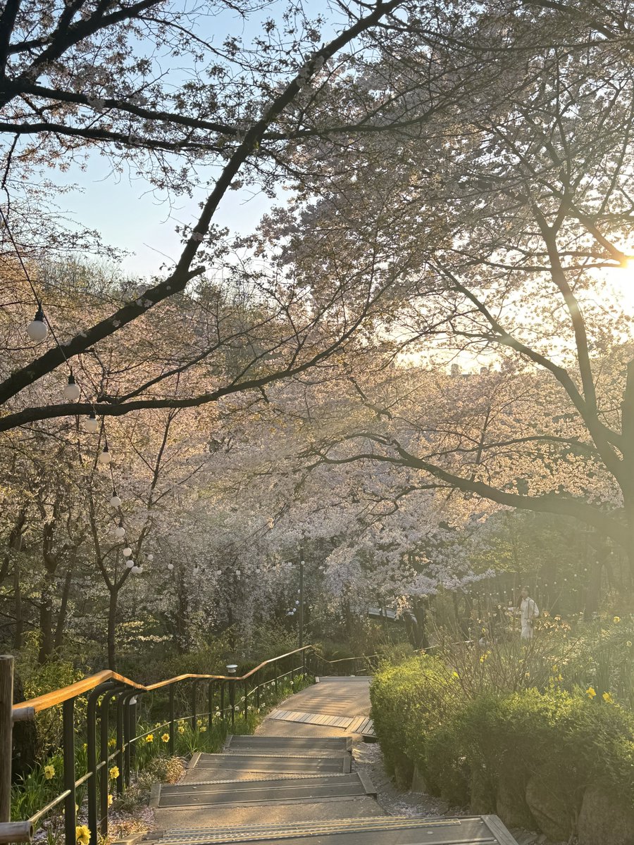 𝙎𝙪𝙯𝙯𝙮 🐉💛🌼 tweet media