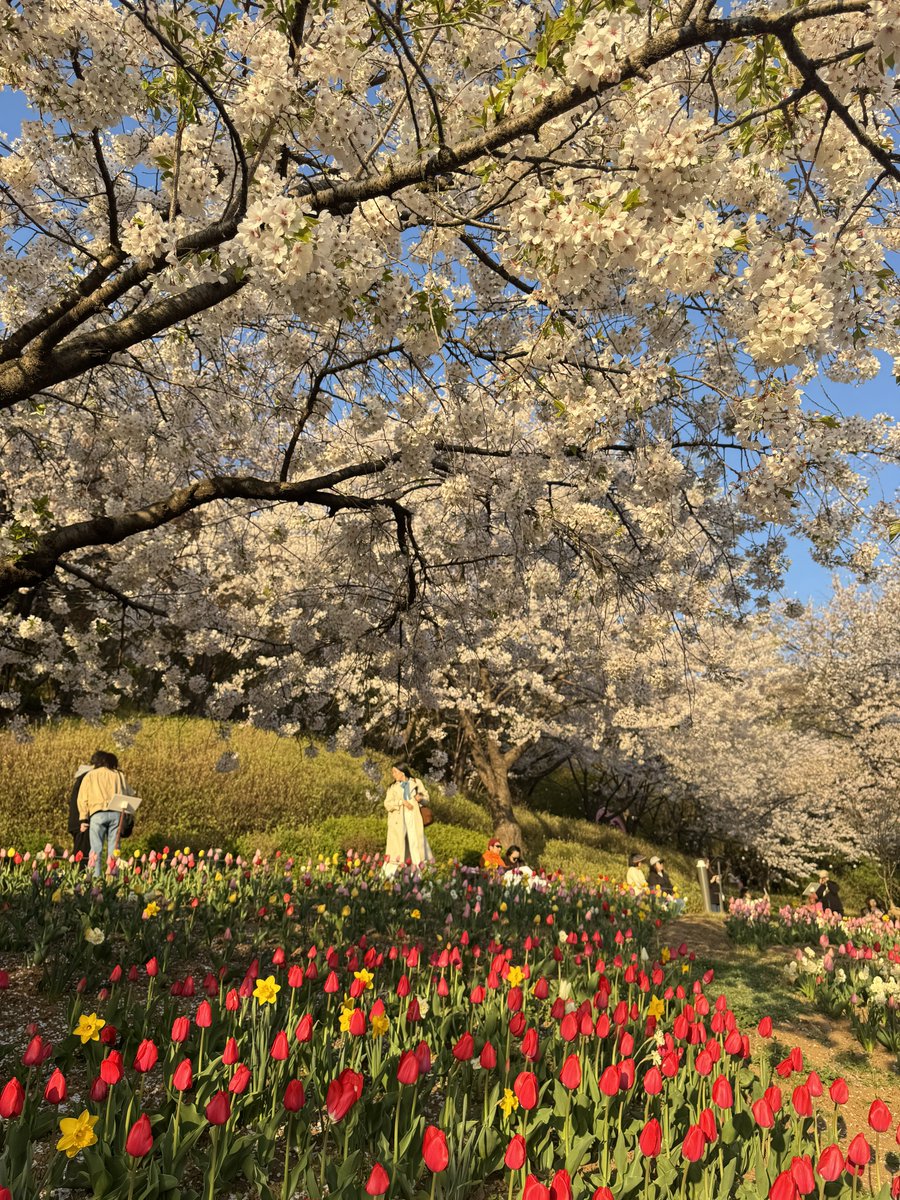 𝙎𝙪𝙯𝙯𝙮 🐉💛🌼 tweet media