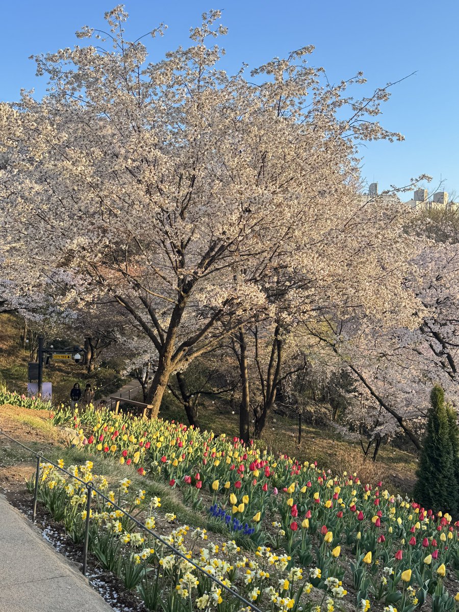 𝙎𝙪𝙯𝙯𝙮 🐉💛🌼 tweet media