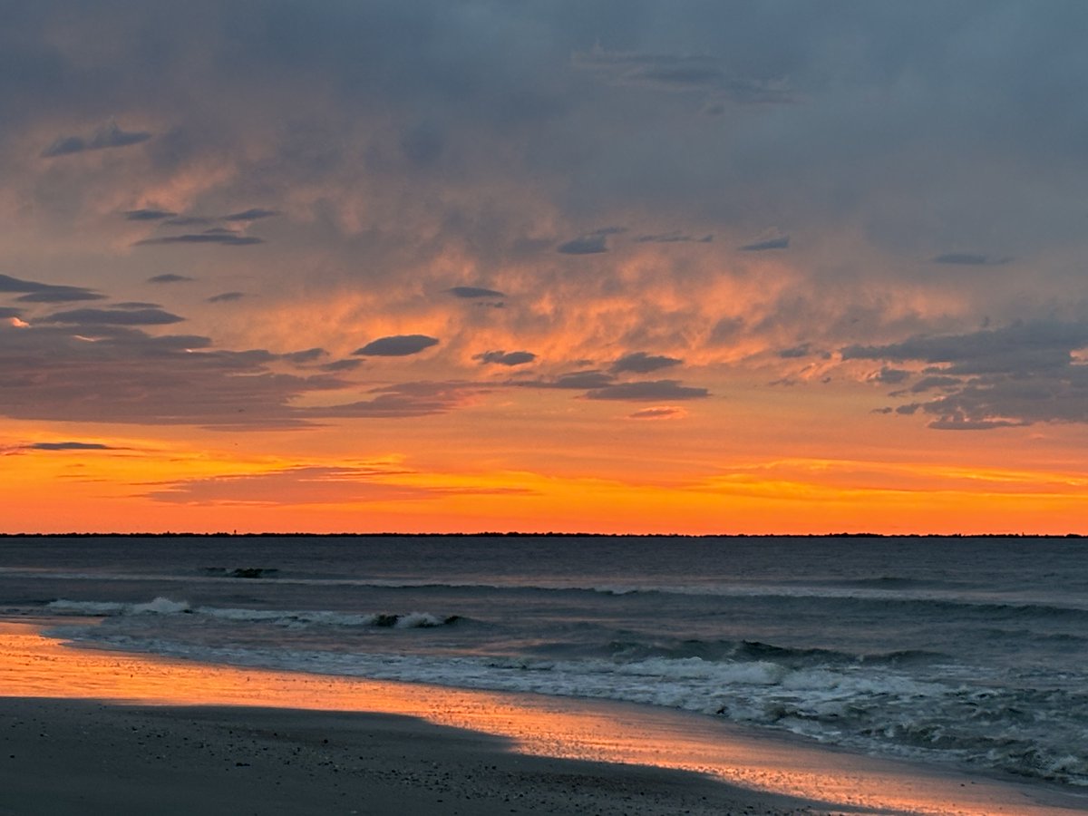 valkerie777's tweet photo. Good morning from #Florida #beachlife #sunrise https://t.co/Icdyq8IPBX