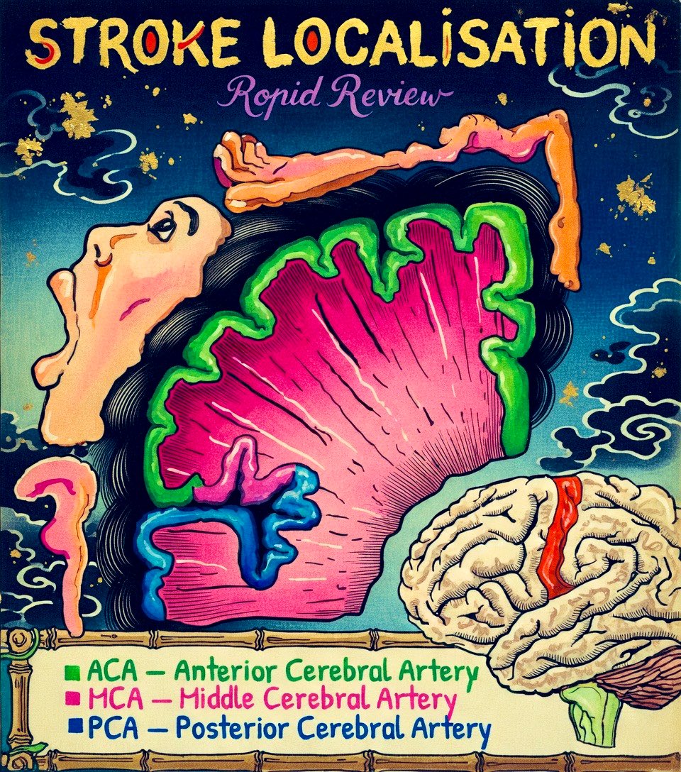 ُTHE GOAT tweet media