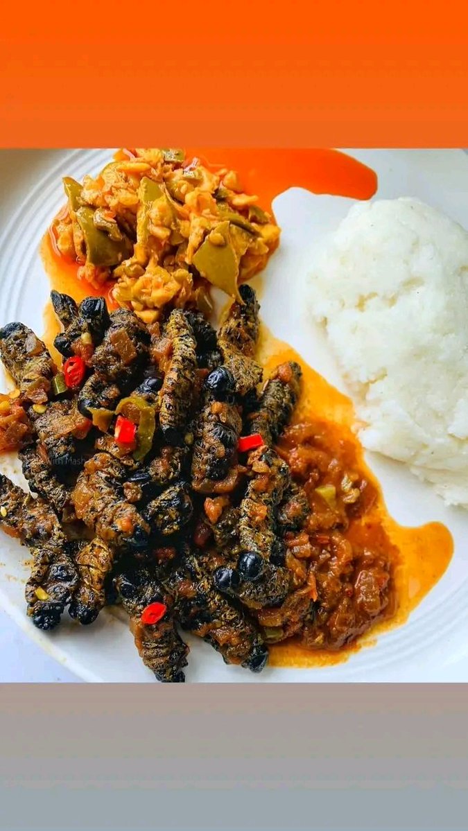 Artist TREVOR🇿🇦 tweet media