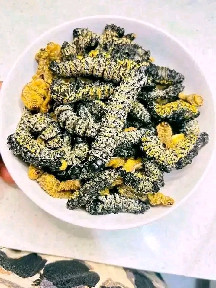 Artist TREVOR🇿🇦 tweet media