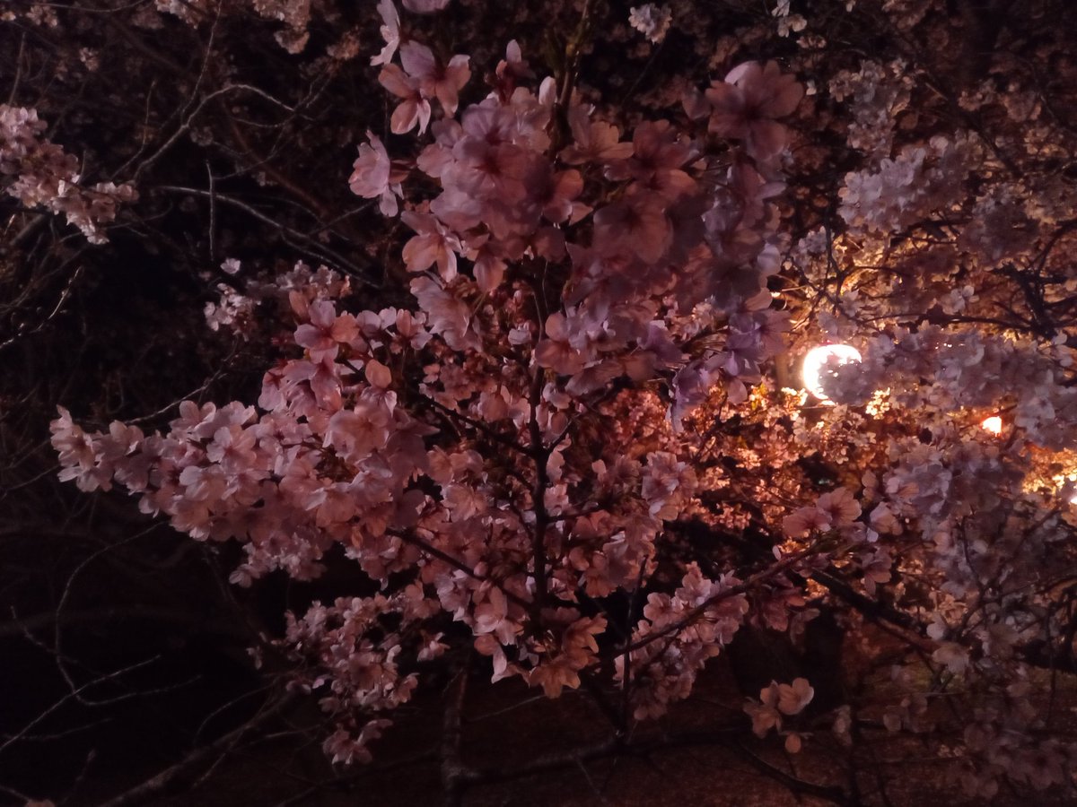 IHO@初芝リック tweet media