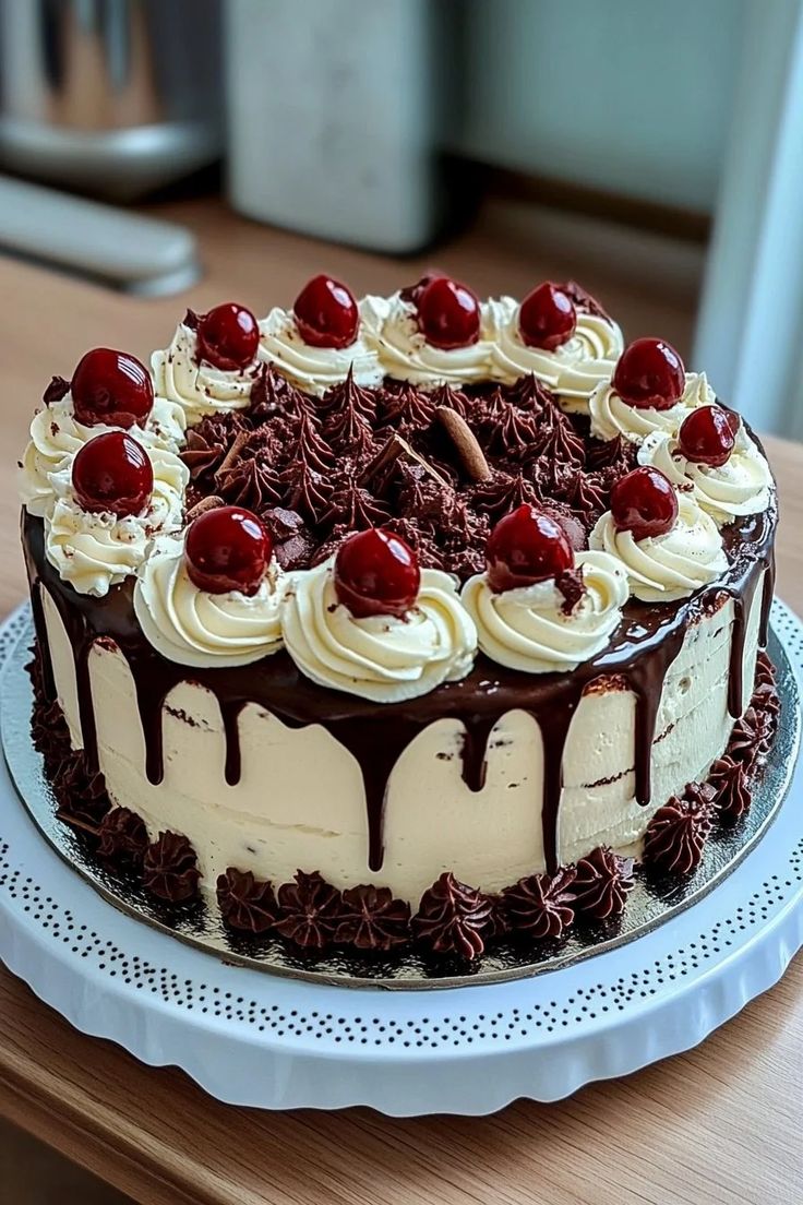 The Cake Plug (@thecakeplug2026) / Posts / X