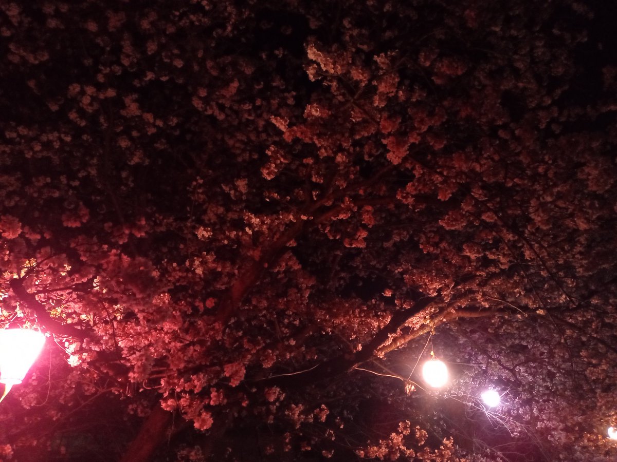 IHO@初芝リック tweet media