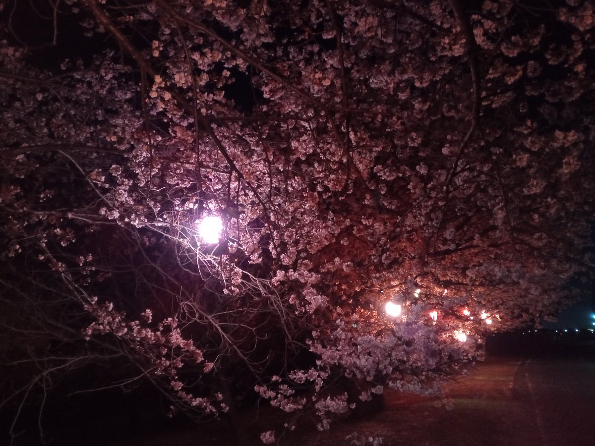 IHO@初芝リック tweet media