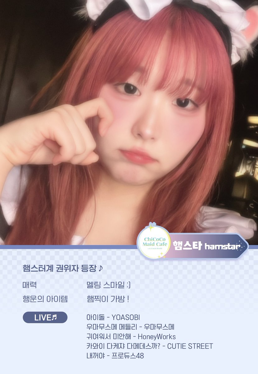 치코코 메이드카페 tweet media