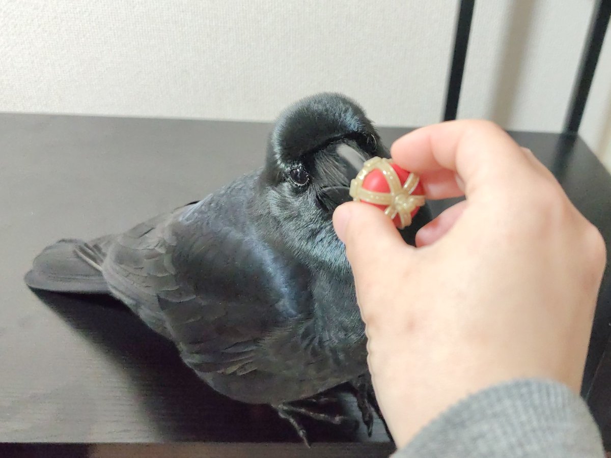 霙色🐝 tweet media