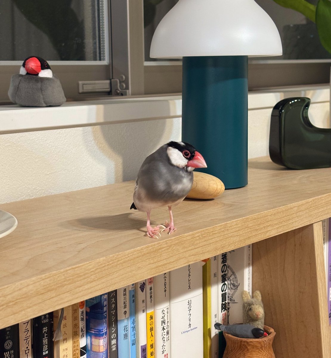 えりこま tweet media