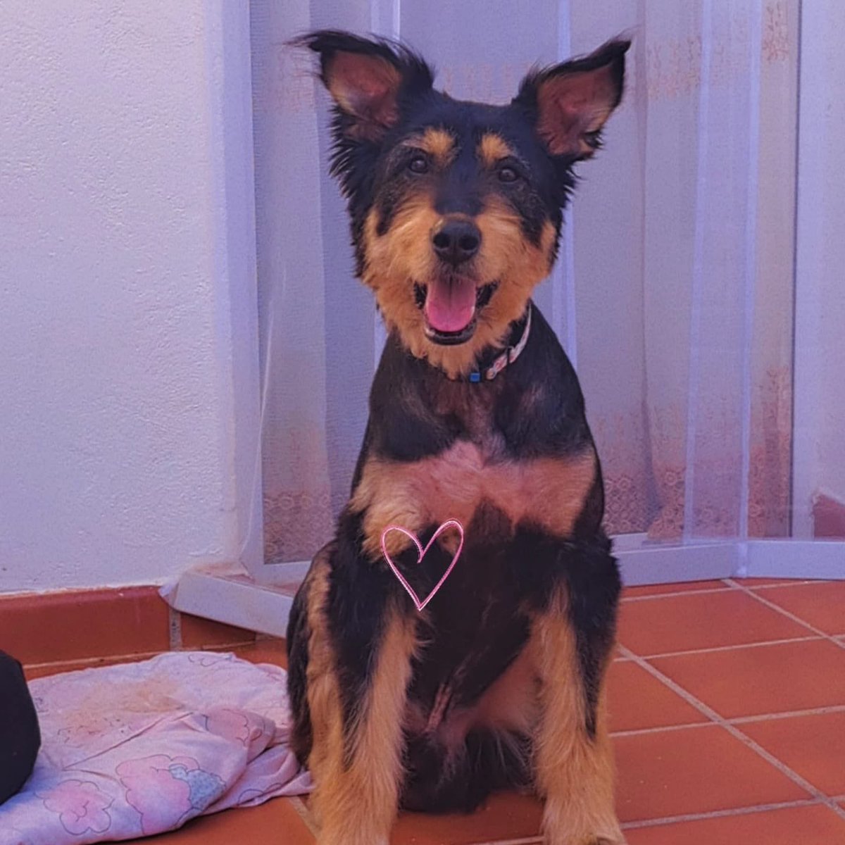 axlamadrid.org tweet media