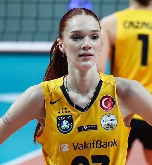 BOSSKOVİÇ'İN ASKERİ tweet media