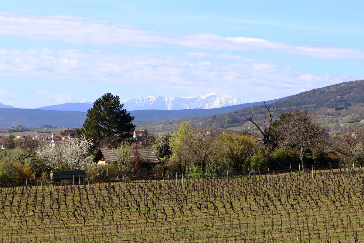 Nikolas Zimmermann tweet media