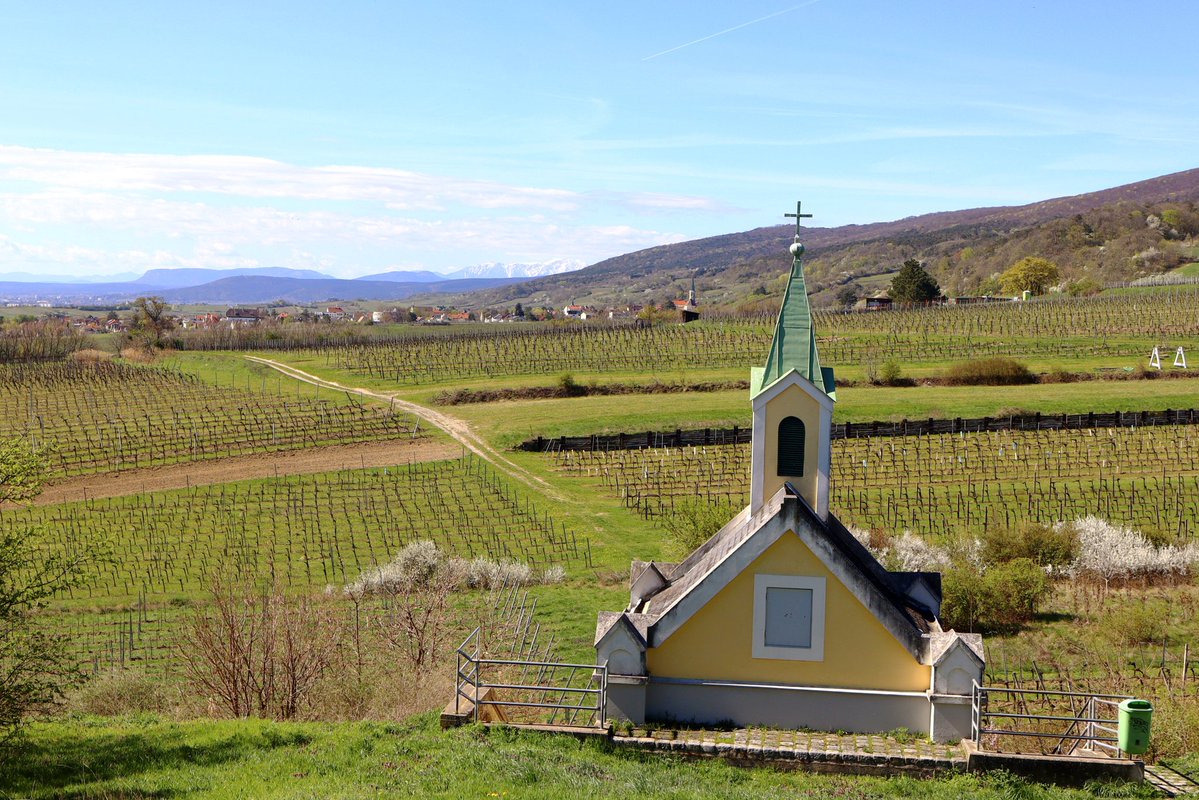 Nikolas Zimmermann tweet media