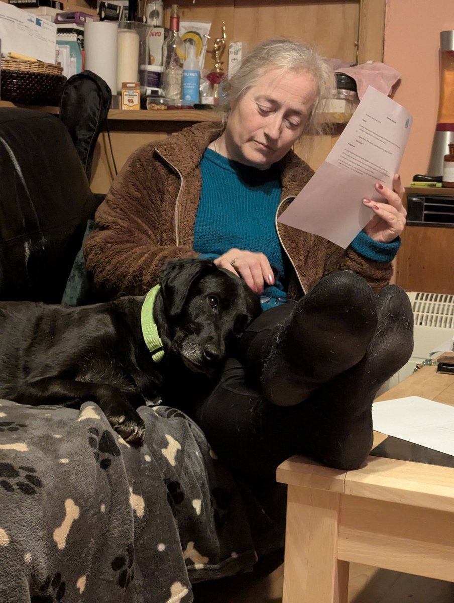 SavingStraysUK's tweet image. #HappyTailsTuesday 
Reading the small print like it’s optional… 👀📄
Three years he waited — and in one quiet moment, our boy Jak made himself permanent.
Some signatures just come with a heartbeat attached. 🐾💛

#failedfoster #home #AdoptDontShopUK  #foreverhomefeeling #rescued