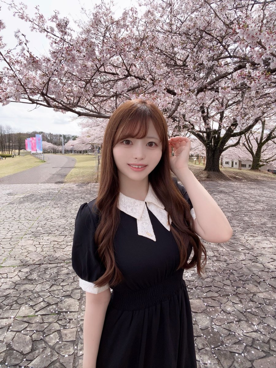 丸井かお🍣 tweet media