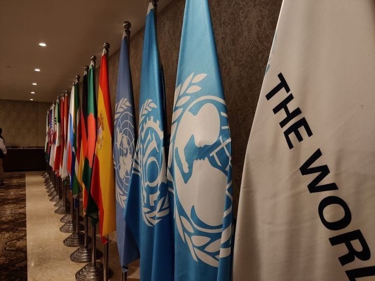 icemochawithice's tweet image. my bias                        v/s                        my degree