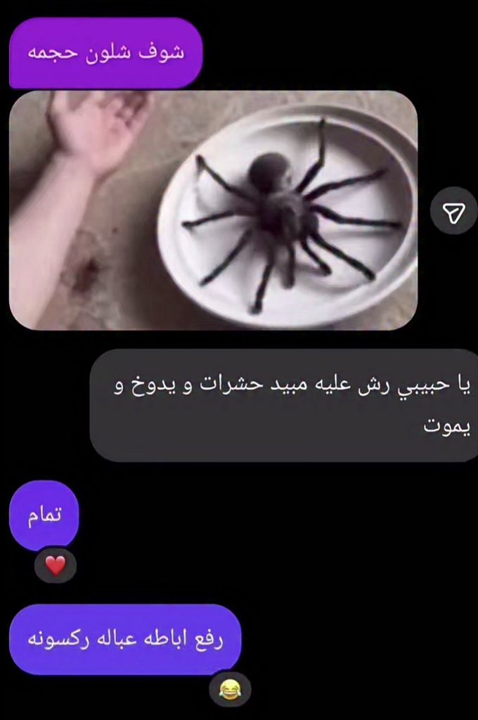 MahmouDead tweet media