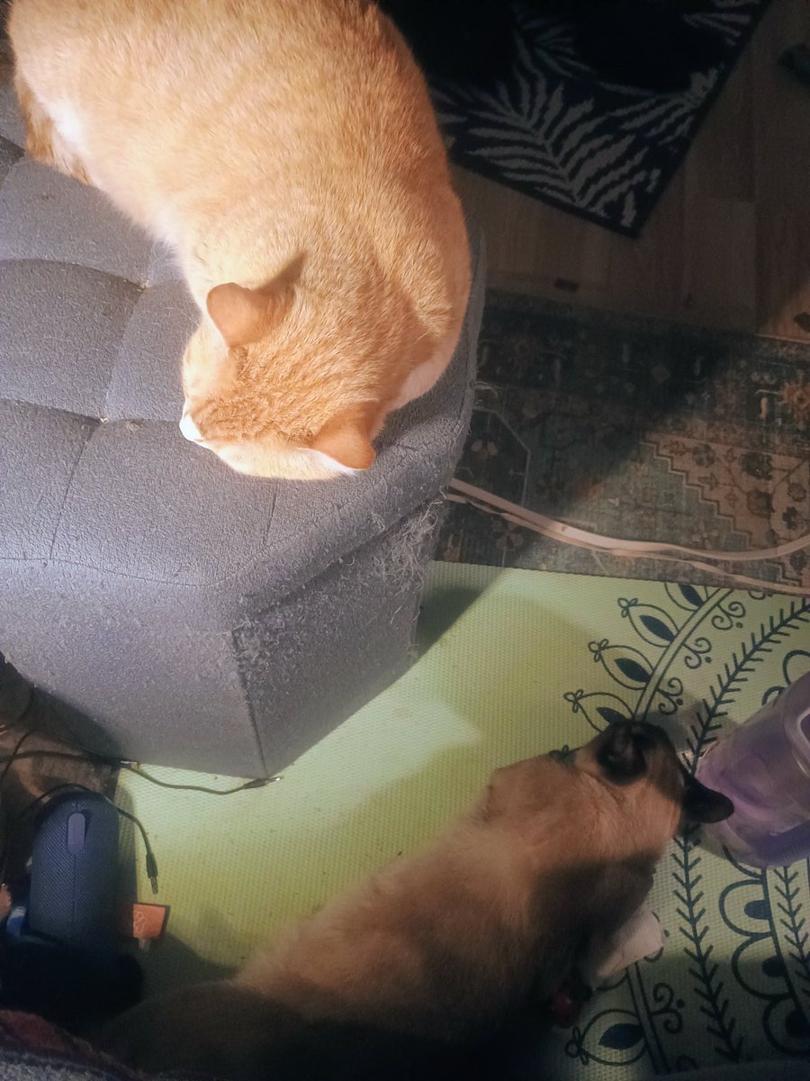 Sterling Jeffrey tweet media