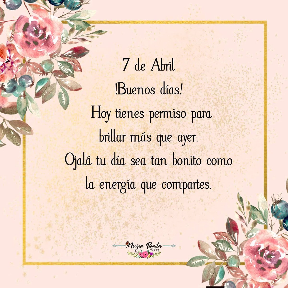 Marco Jaramillo tweet media