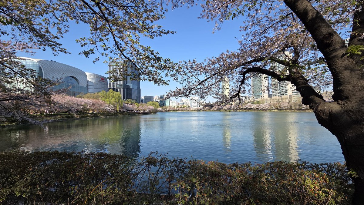 VanillaMint tweet media