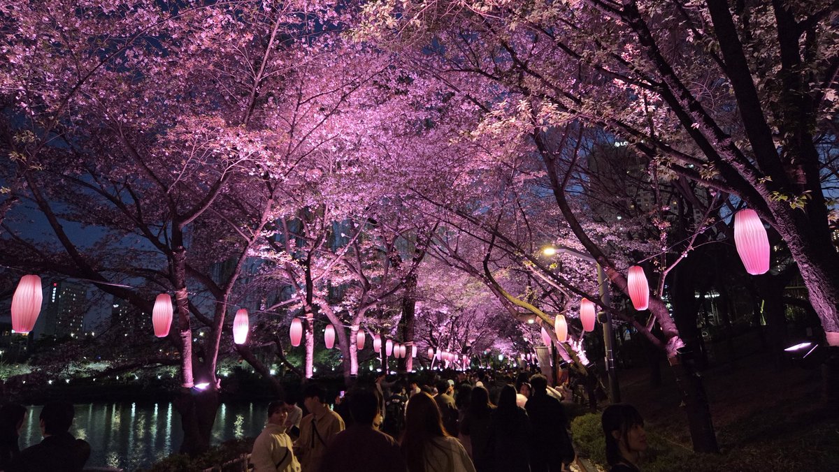 VanillaMint tweet media