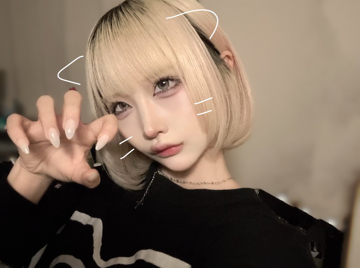 ALM【シュレ犬】 tweet media