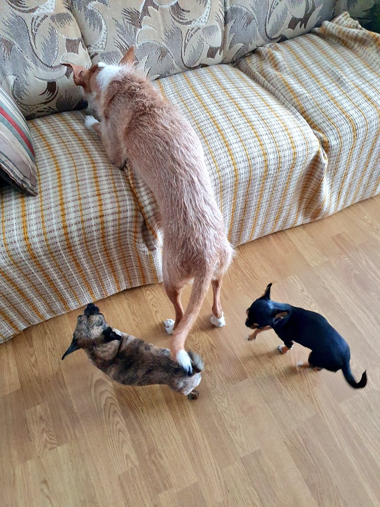 gonpiro🍉 tweet media