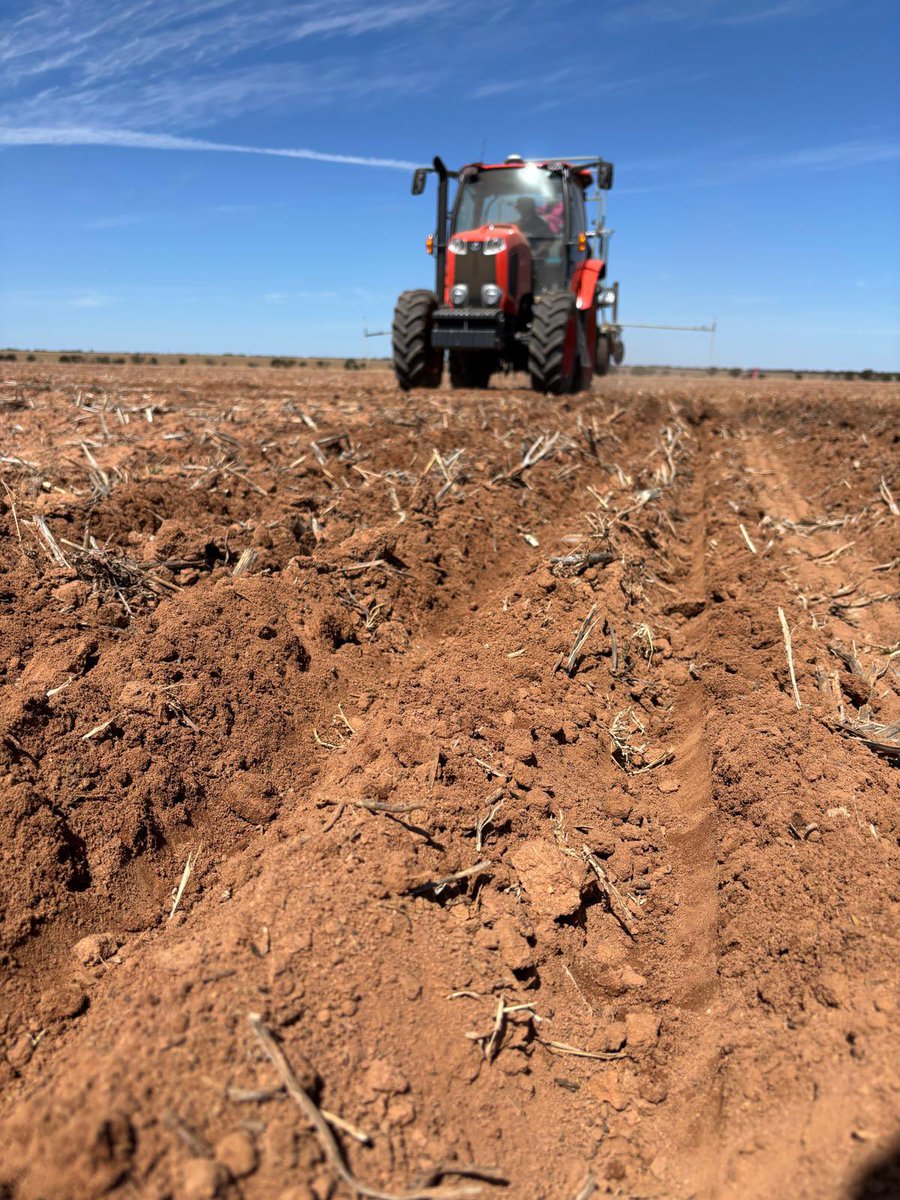 Living_Farm's tweet photo. 2026 seeding is off to a flying start with decent falls in some areas off the back of Cyclone Narelle. 

This site at Beacon was sown last week, with team members Andrew, James and Jasmine. 

@GRDC_NVT https://t.co/LdMCZJftBF