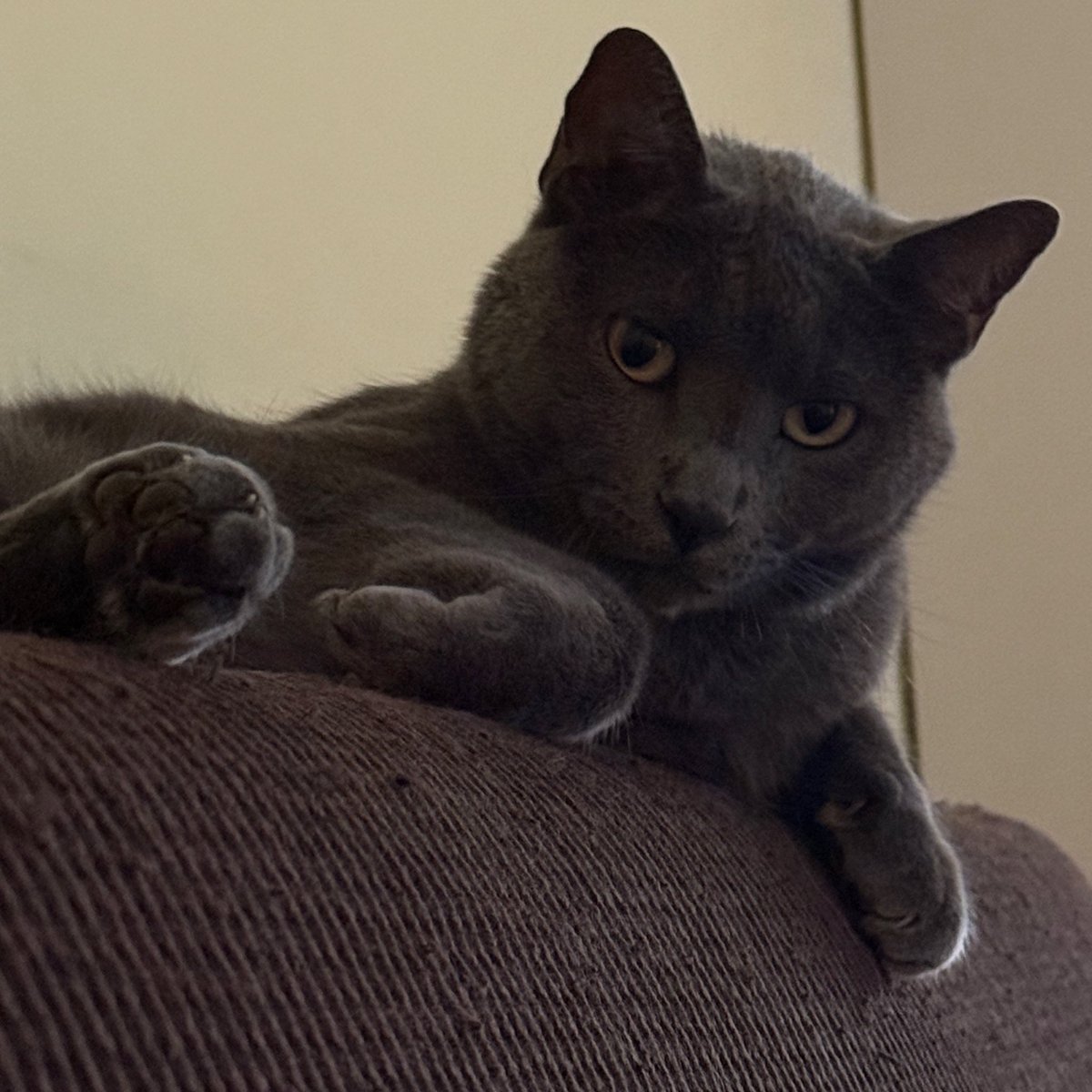 lian🍓 tweet media