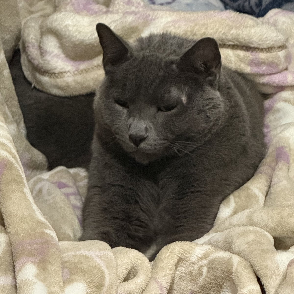 lian🍓 tweet media