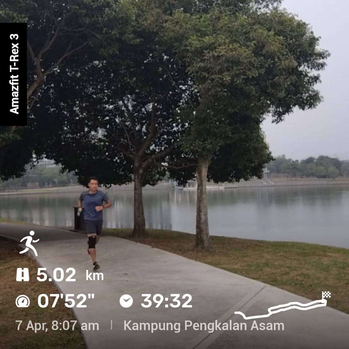 anbaah's tweet image. #trex3