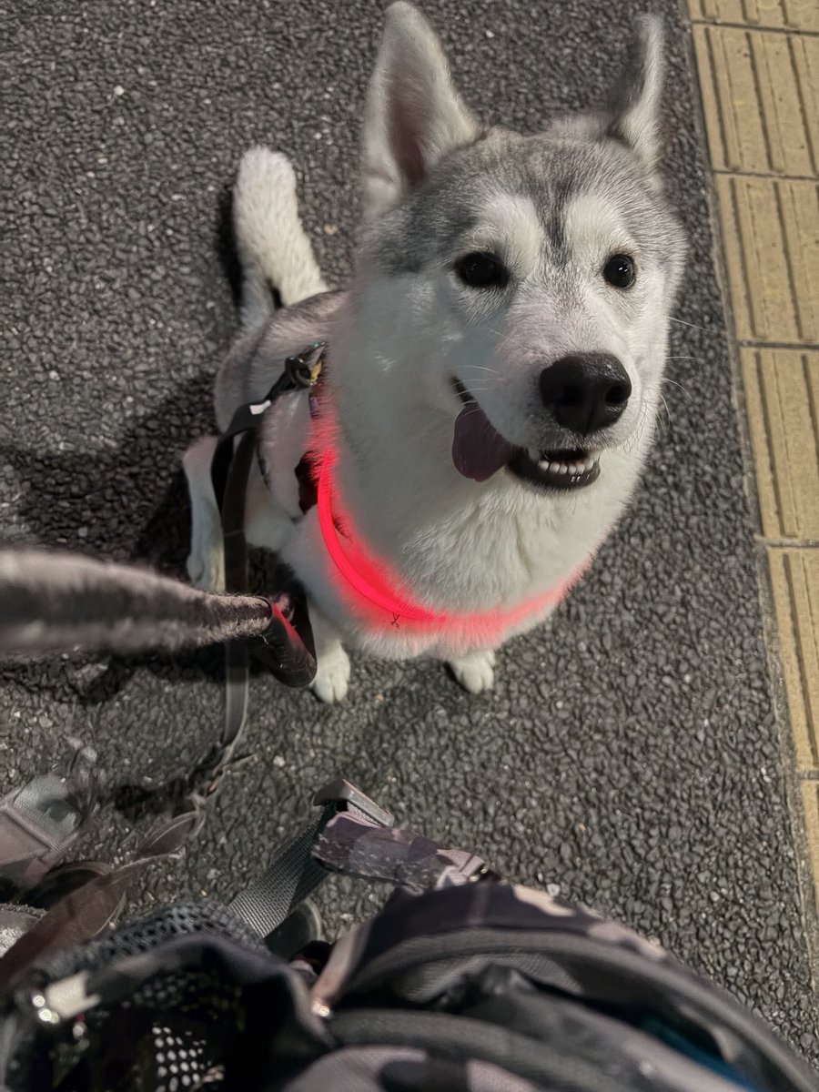 まっしろる tweet media